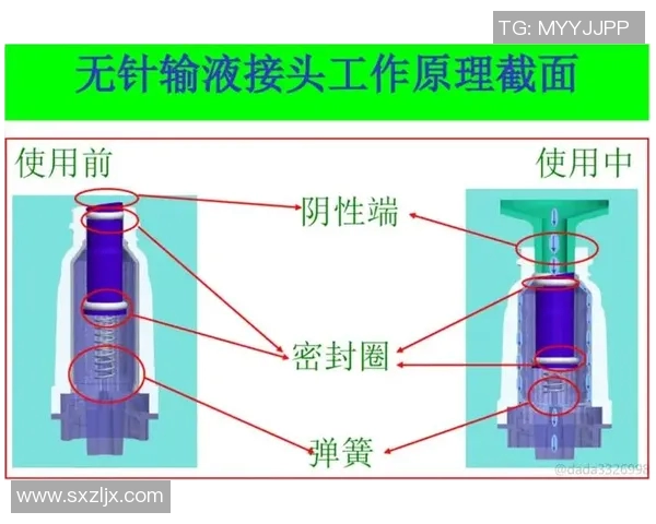 vs与am的模糊区别探讨及其在不同语境中的应用分析